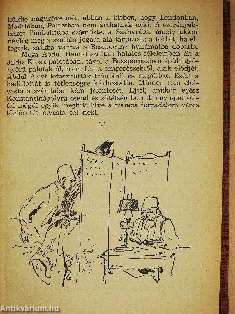 A félhold fakó fényében