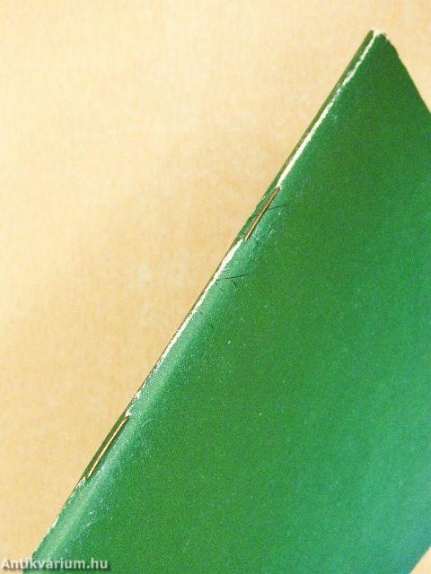 Magyar irodalom összefoglalás