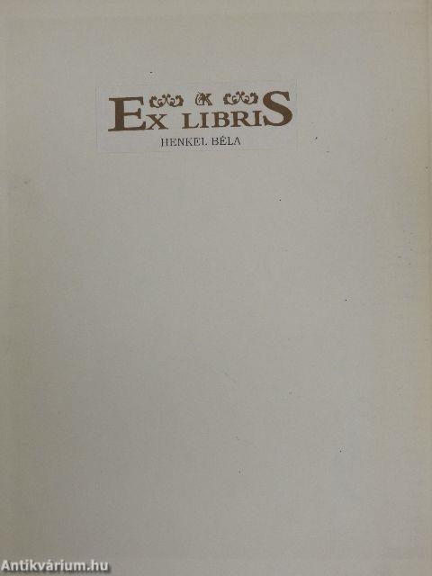 100 Kakteen und andere Sukkulenten in Farbe