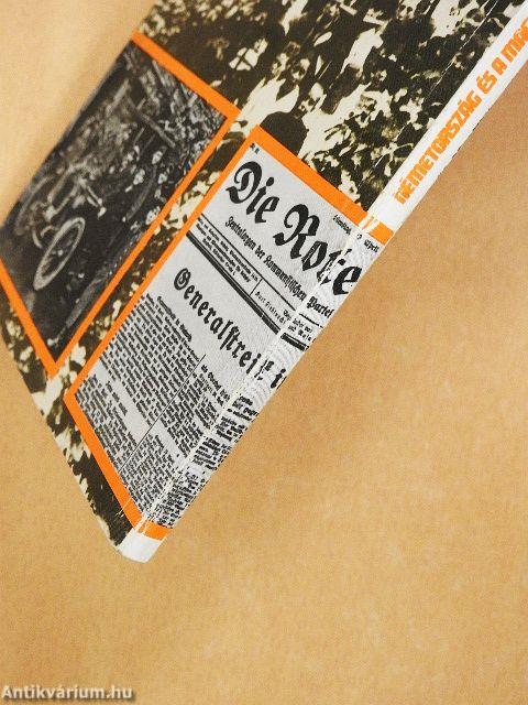 Németország és a magyarországi Tanácsköztársaság