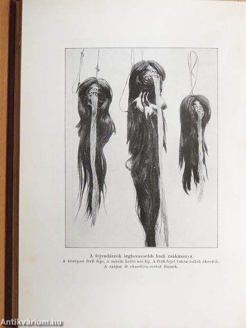 Az Amazonasz őserdeiben