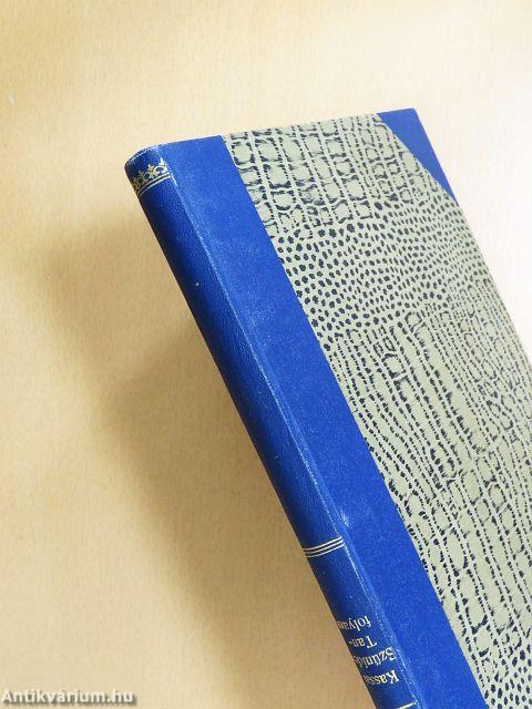 A kereskedelmi iskolai tanárok kassai szünidei tanfolyamának emlékkönyve