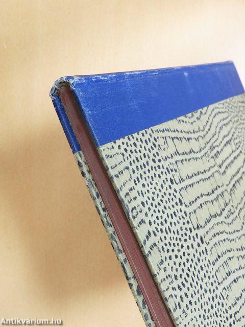 A kereskedelmi iskolai tanárok kassai szünidei tanfolyamának emlékkönyve