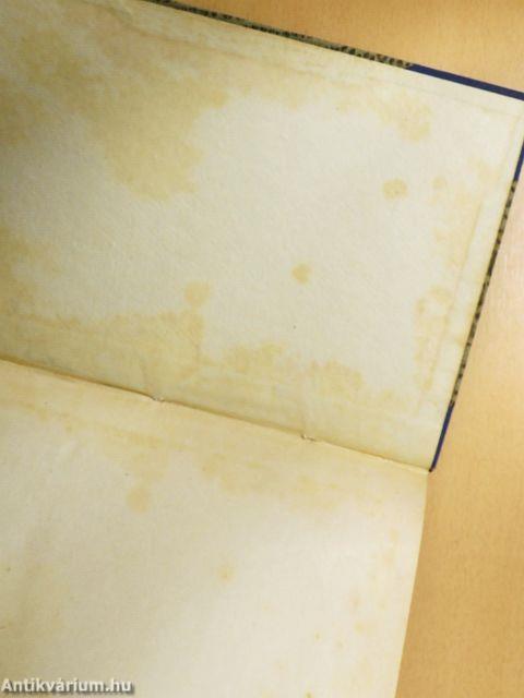 A kereskedelmi iskolai tanárok kassai szünidei tanfolyamának emlékkönyve