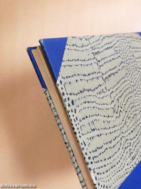 A felső kereskedelmi iskolai tanárok miskolczi szünidei tanfolyamának emlékkönyve