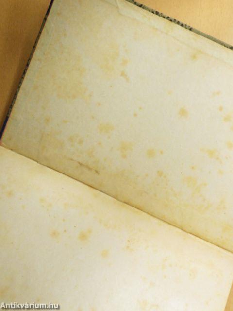 A felső kereskedelmi iskolai tanárok miskolczi szünidei tanfolyamának emlékkönyve