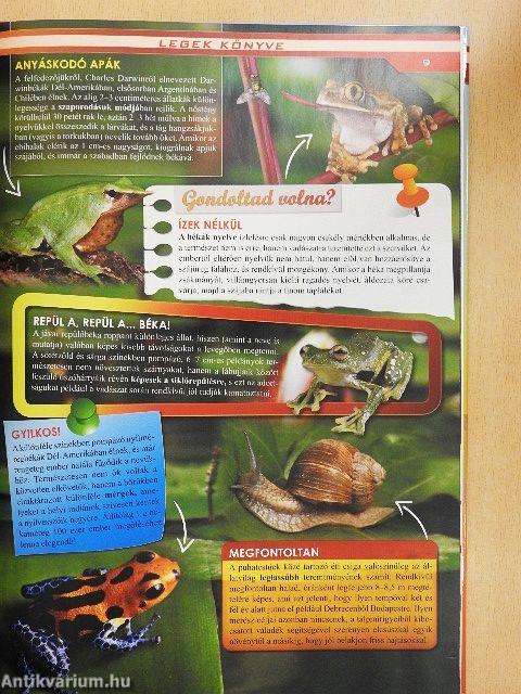 Legek könyve gyerekeknek