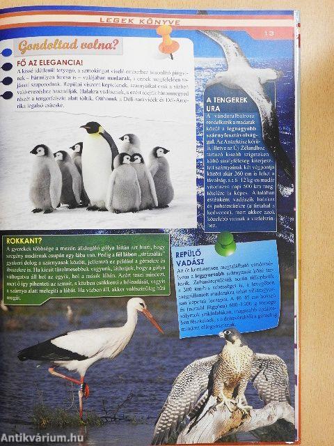 Legek könyve gyerekeknek