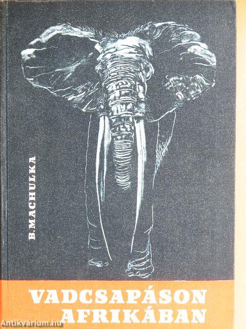 Vadcsapáson Afrikában