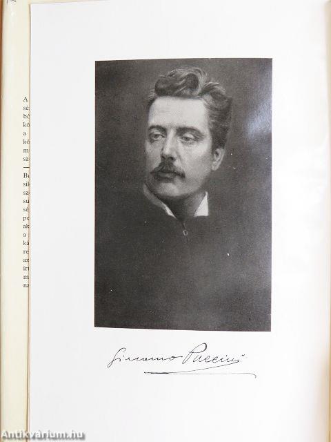 Bohémek és pillangók
