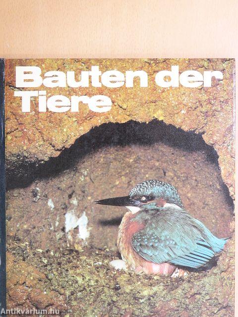 Bauten der Tiere