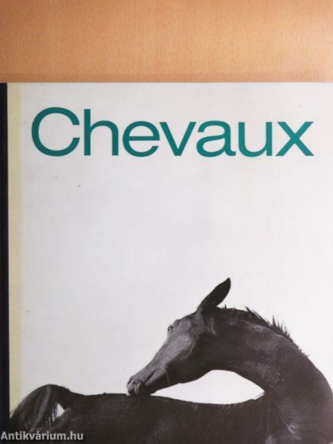 Chevaux