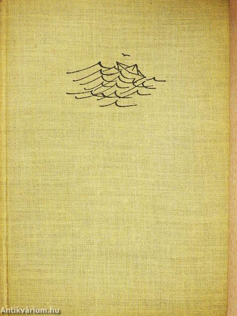 Hullámok kergetése