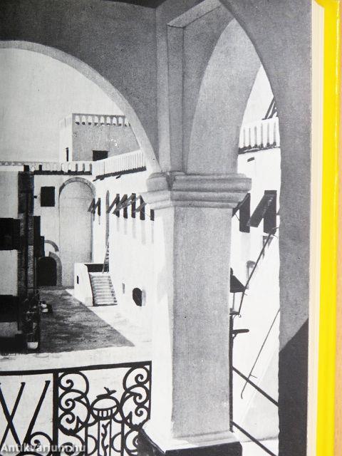 Fekete elefántcsont