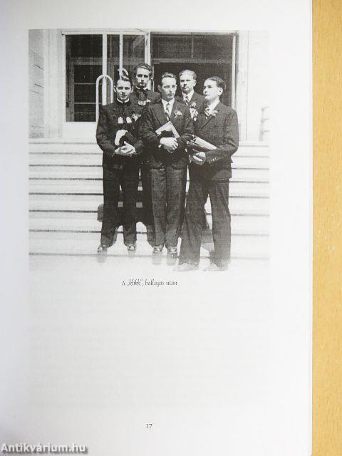 Egy mozaik kis kövei