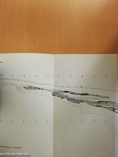 Hallstatt Kolloquium Veszprém 1984