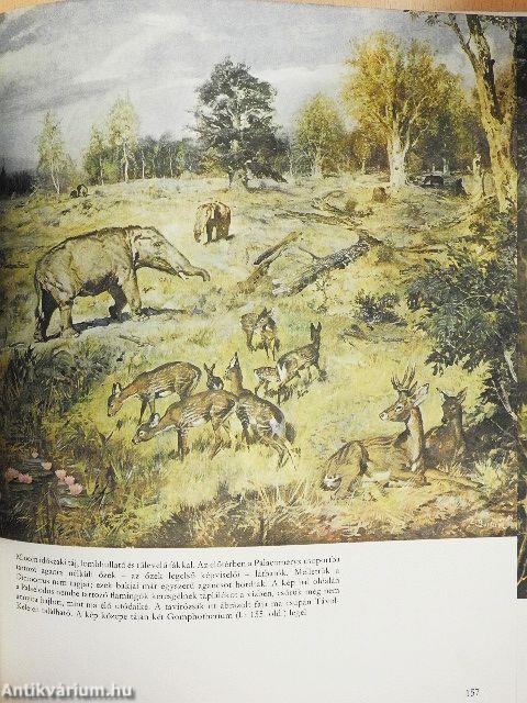 Élet az ember előtt