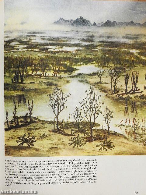 Élet az ember előtt