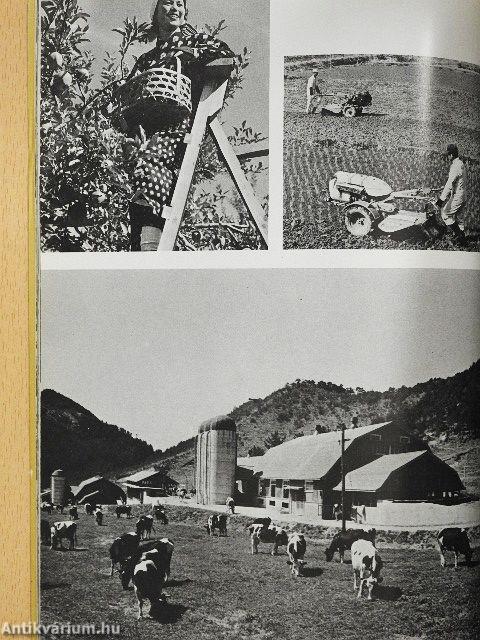 A mai Japán