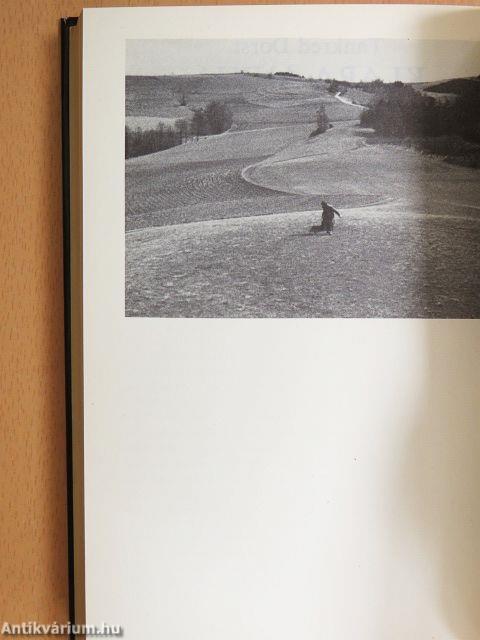 Ki volt Edgar Allan?