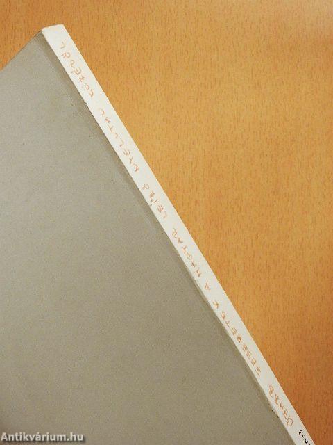 Újabb fejezetek a magyar leíró nyelvtan köréből