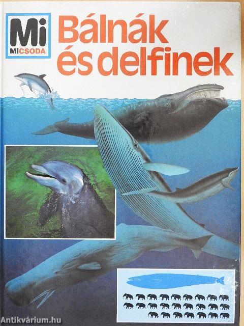 Bálnák és delfinek