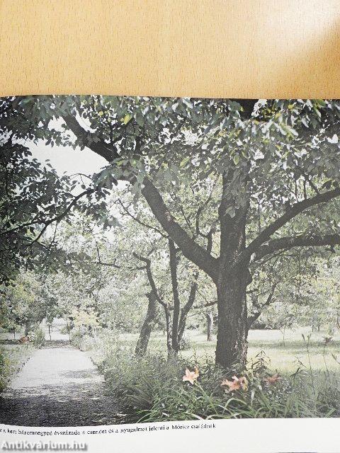 "Kertész legyen, ki boldogságra vágyik!"