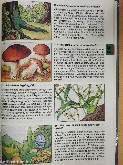 Minden napra egy kérdés