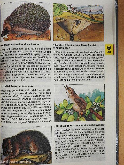 Minden napra egy kérdés