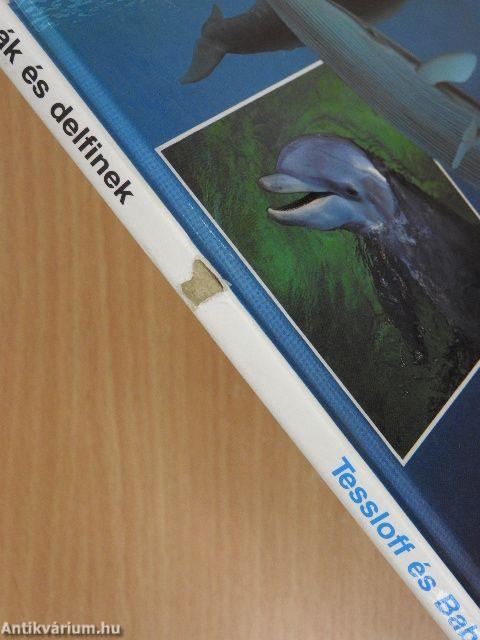 Bálnák és delfinek