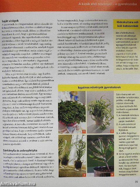 Növénypompa otthonunkban