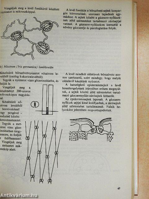 Biológiai gyakorlatok kézikönyve