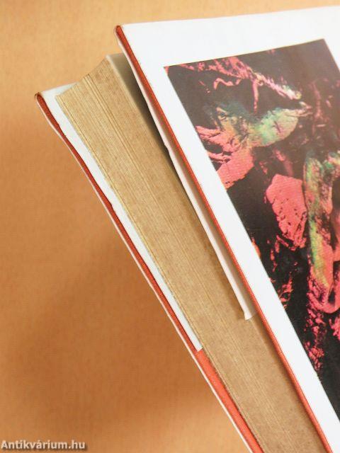 A kötél legendája