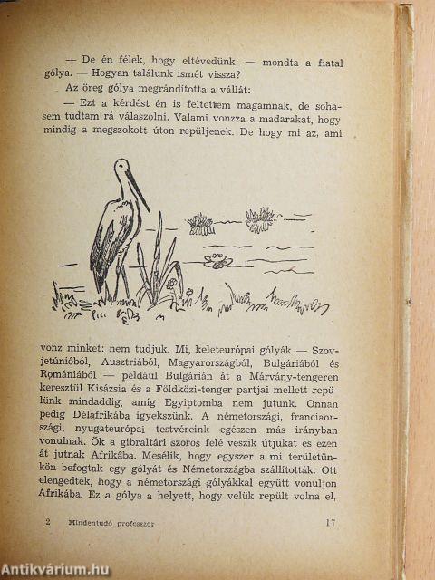 Mindentudó professzor