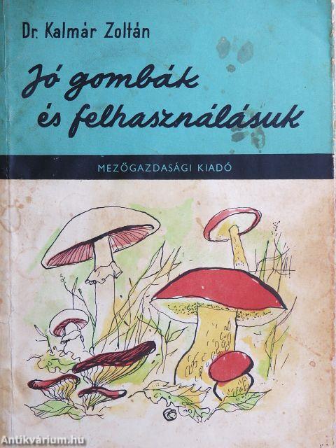 Jó gombák és felhasználásuk