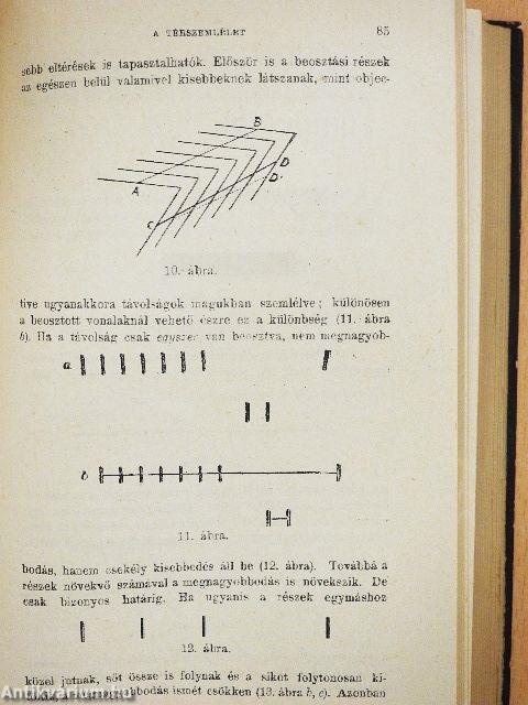 A lelki élet II. (töredék)