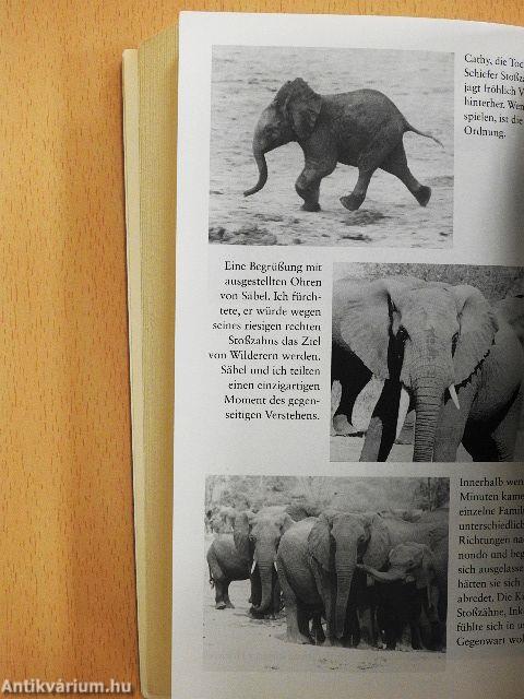 Meine sanften Riesen