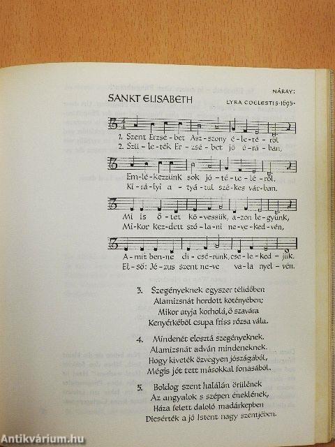 Die grosse liebende St. Elisabeth