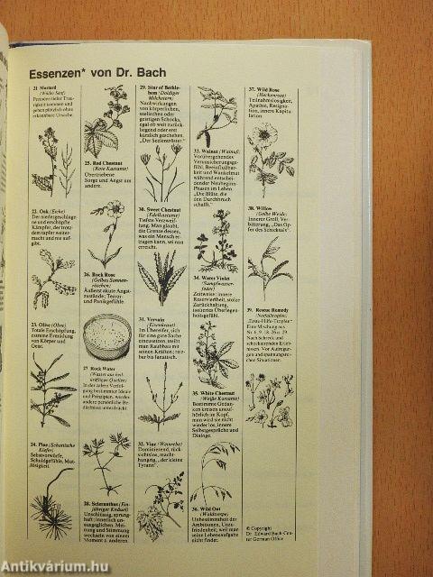 Neue Therapien mit Bach-Blüten 1.