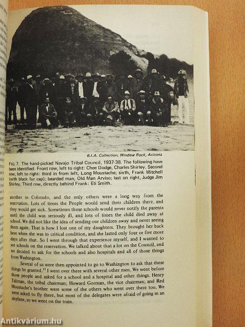 Navajo Blessingway Singer