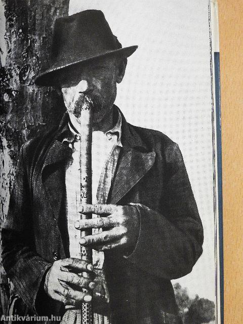 Magyar népdalok, népi hangszerek