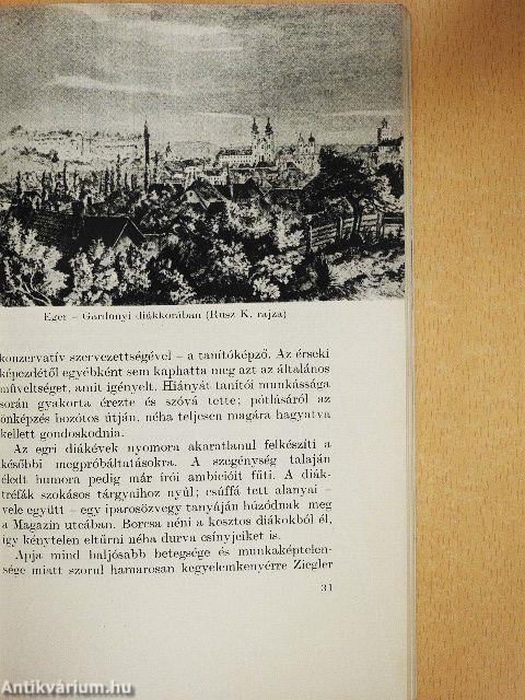 Gárdonyi Géza alkotásai és vallomásai tükrében