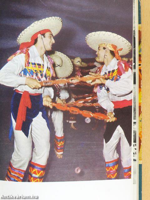 A kolibri irányában...