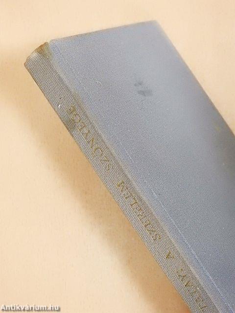 A szerelem szőnyege