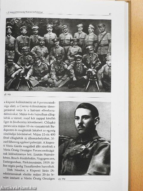 A Tanácsköztársaság fővárosi karhatalmai