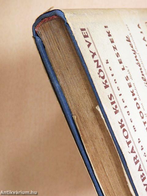 Az ország katonája