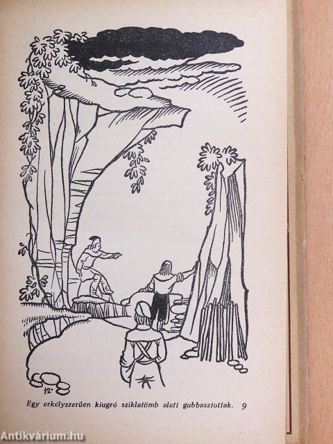 Az ország katonája