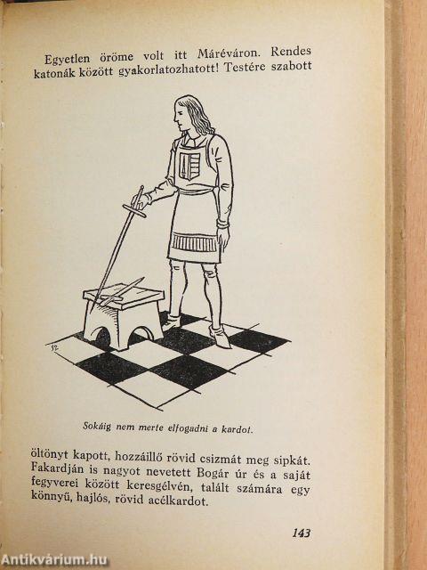 Az ország katonája