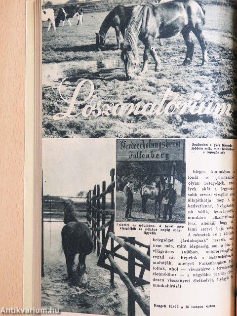 Függetlenség évkönyve 1935