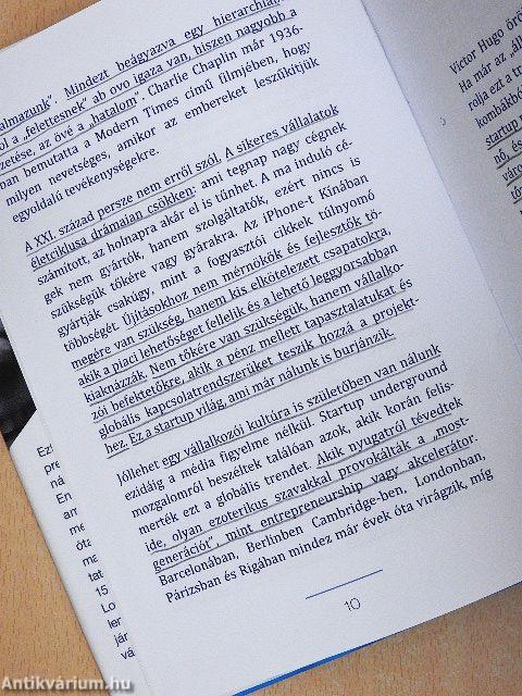 Startup, felnőtteknek!